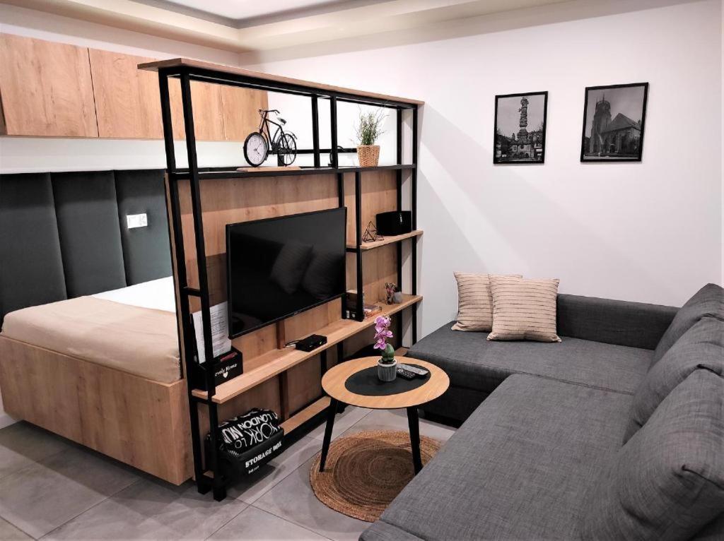Apartamenty Marianska 103 Racibórz Exteriör bild